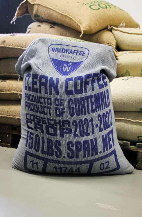 gruener-kaffee-wildkaffee