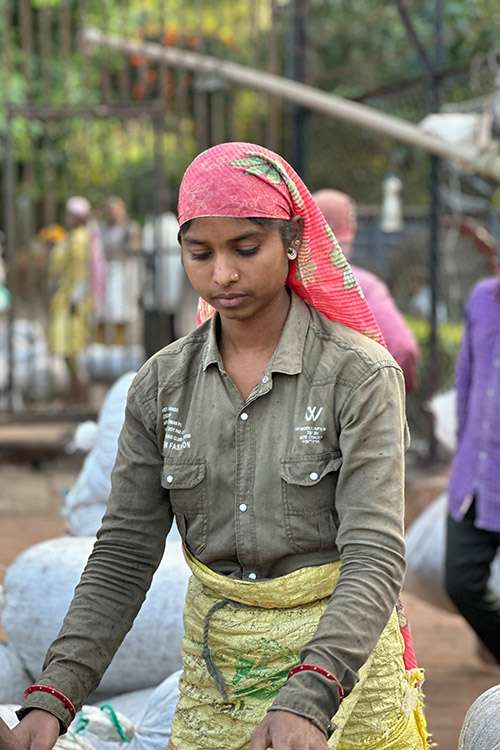 Hoysala-Coffee-Wildkaffee-Roesterei-Indien