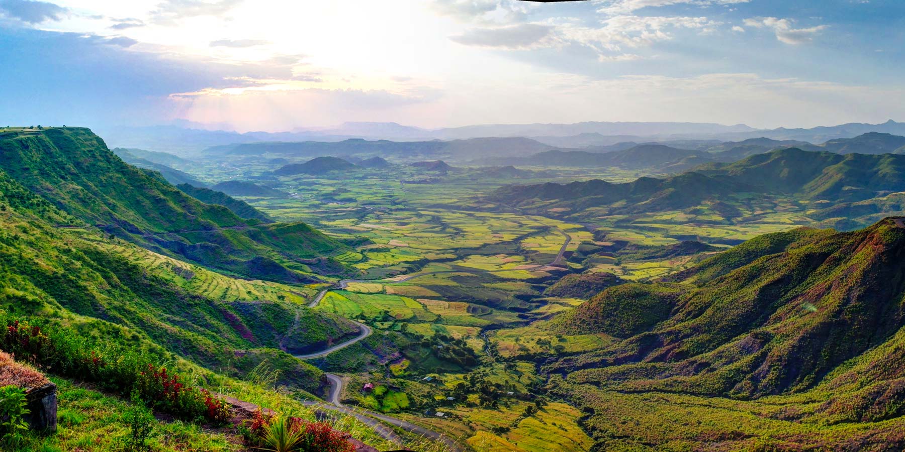 Kaffee-aus-Aethiopien-Wildkaffee-Roesterei-Ursprung-Kaffee