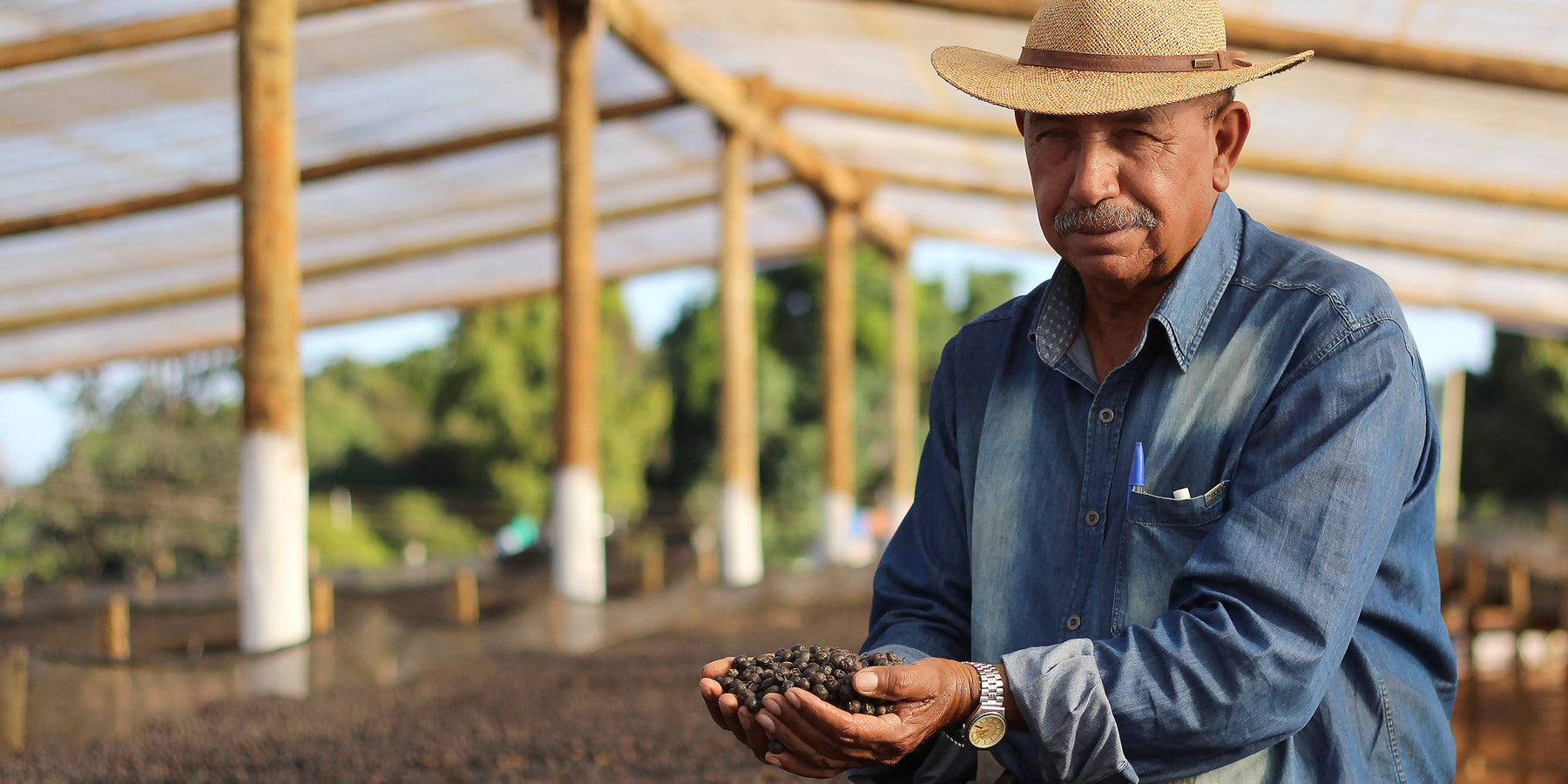 kaffeeaufbereitung-das-spiel-mit-der-fermentation-brasilien-wildkaffee