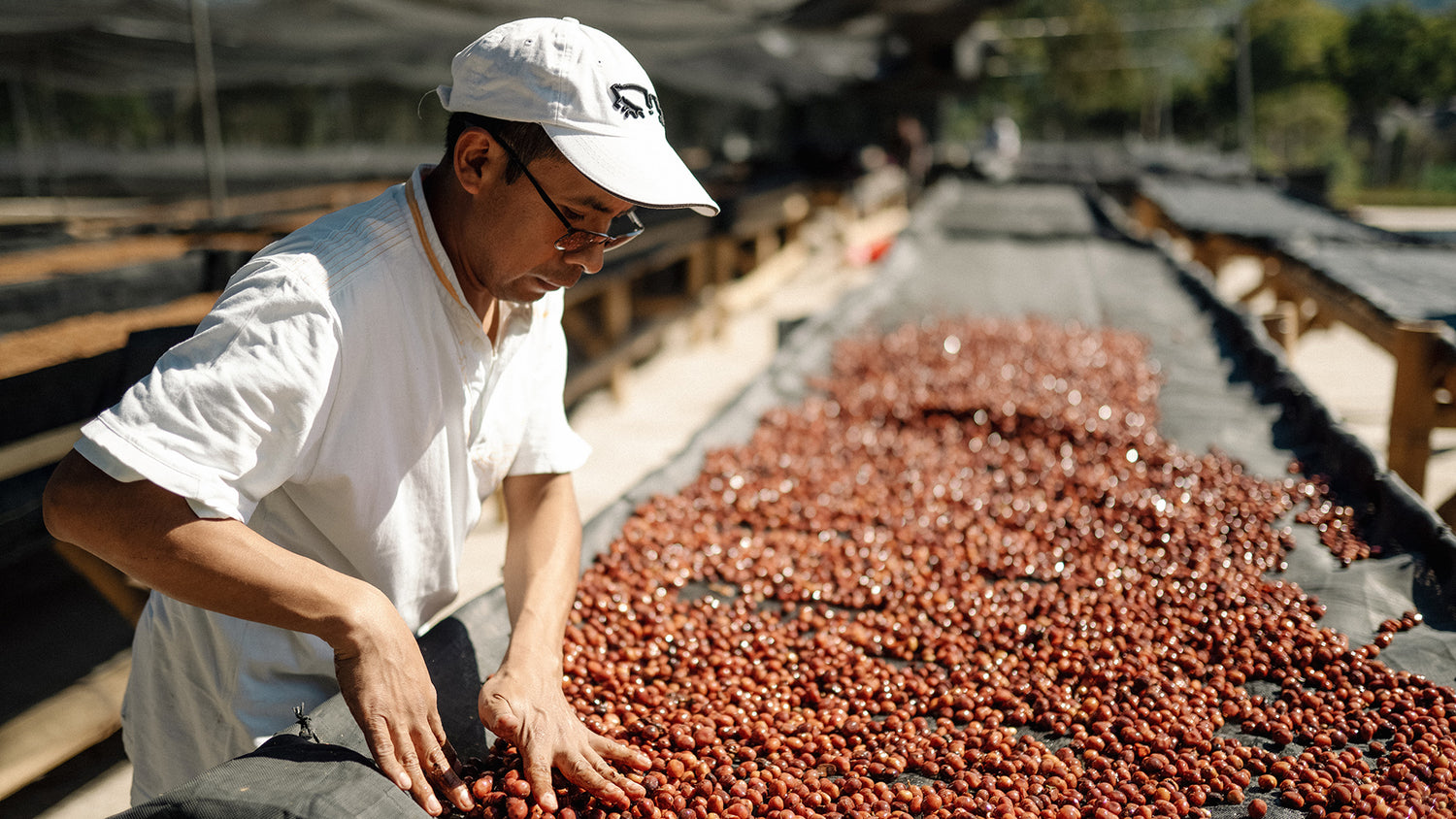 Kaffeepreis so hoch wie nie – Auswirkungen auf Industrie und Verbraucher