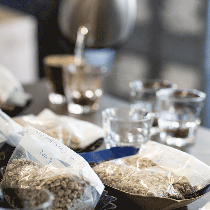 Cupping-Specialty-Coffee-Wildkaffee-Roesterei-Cup-of-Excellenz