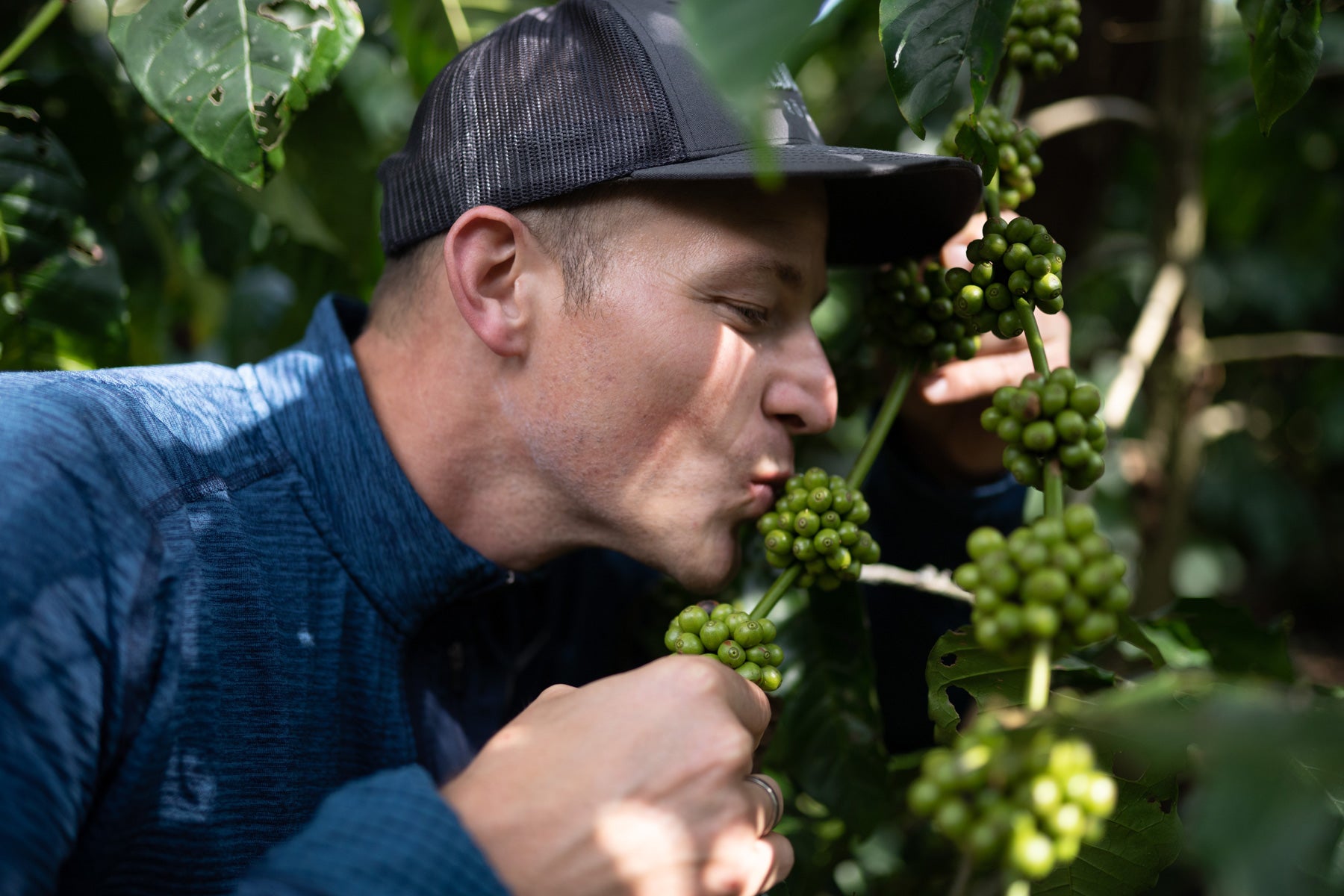 Direkter-Handel-wildkaffee-Roesterei-leonhard-Wild
