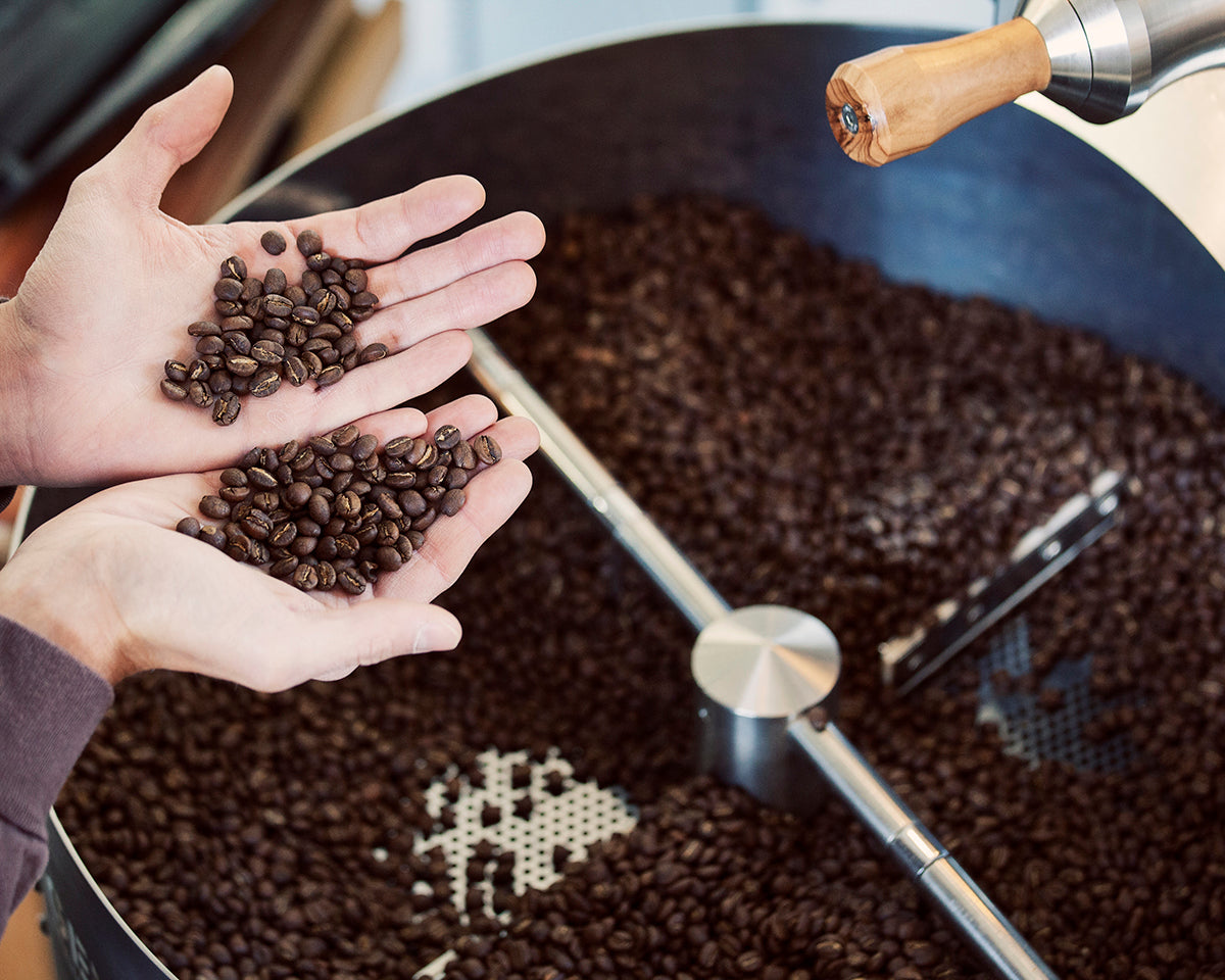 Hände halten frisch geröstete Kaffeebohnen
