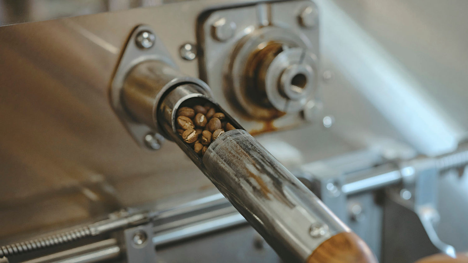 Probeentnahme von geröstetem Kaffee aus einem Röster