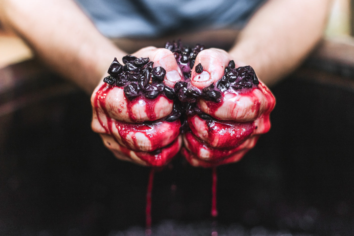Rotwein-wein-danke