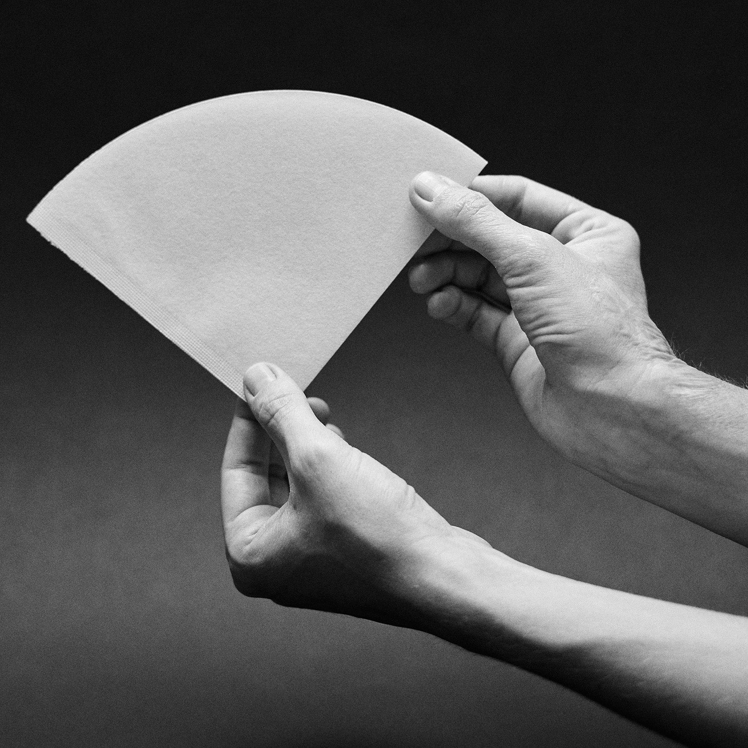 Hände halten Sibarist Fast Cone Filterpapier