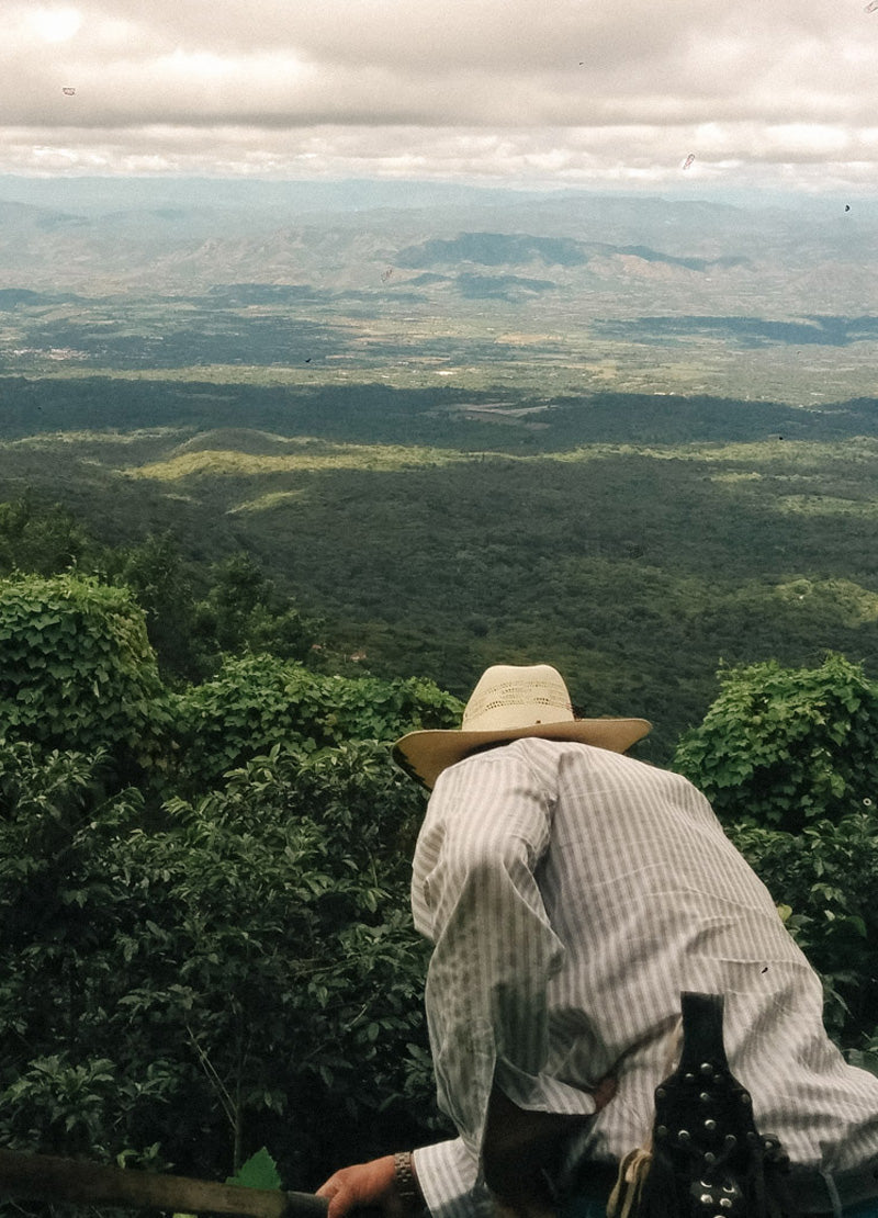 Transparenz-Wildkaffee-mobil