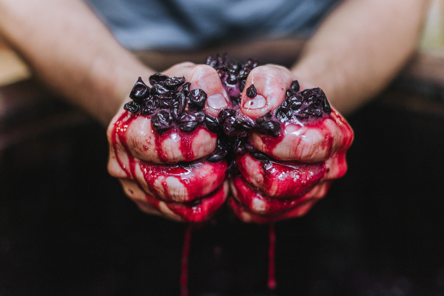 Wein-Danke-Rotwein