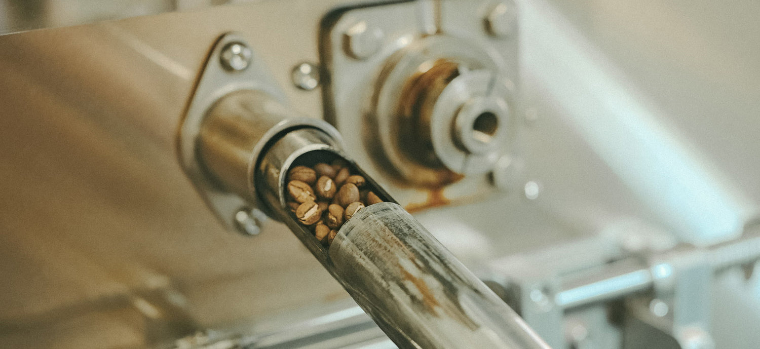 aufbewahrung-kaffee-wildkaffee-roesterei