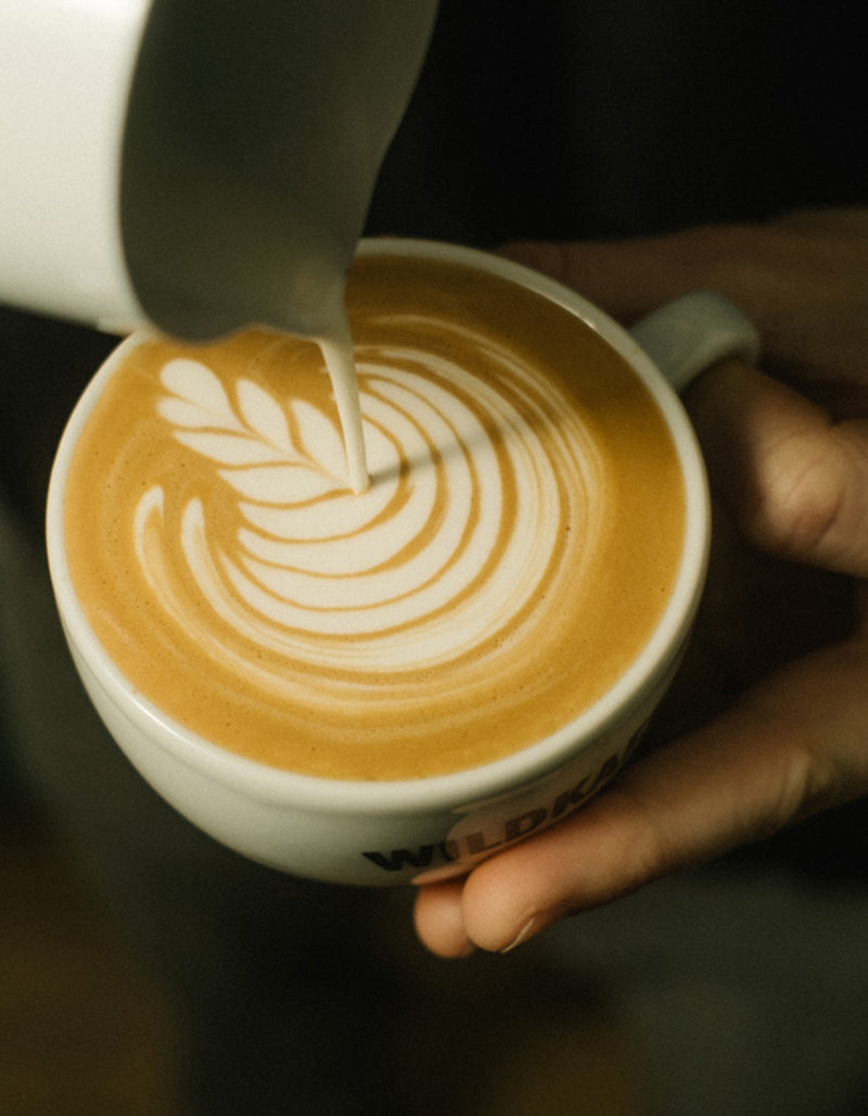 dosierung-von-kaffee-wildkaffee-kaffeewissen