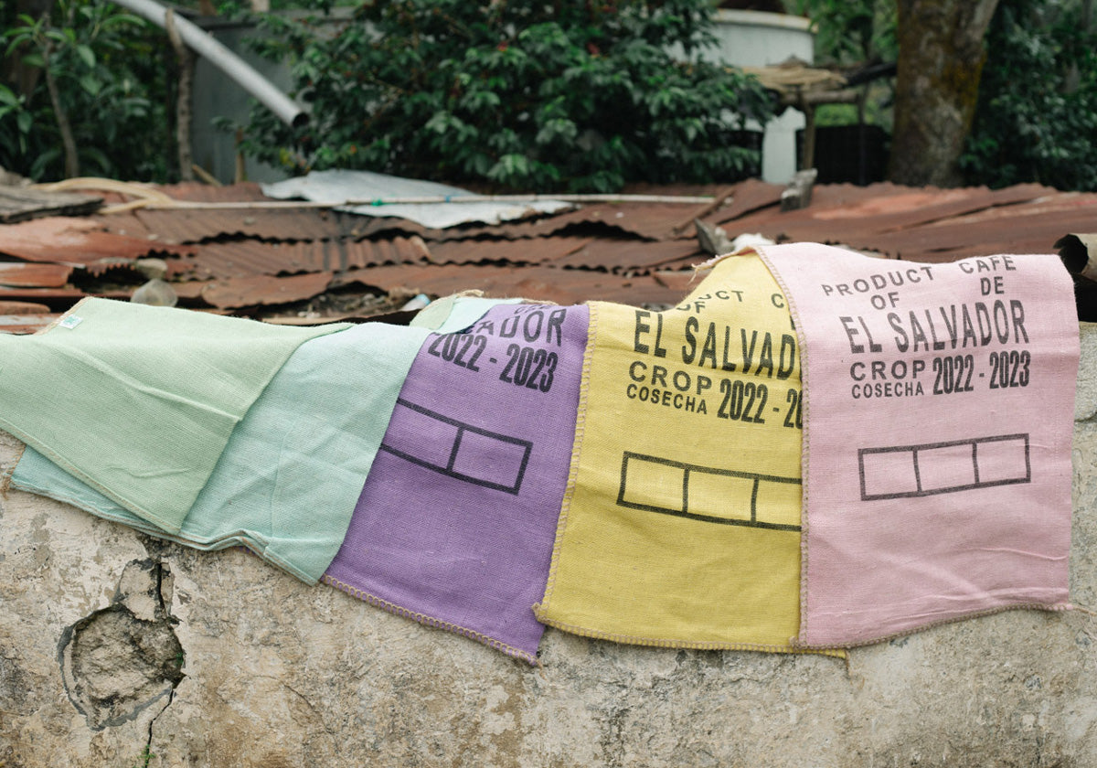 el-salvador-coffee-school-project-espresso