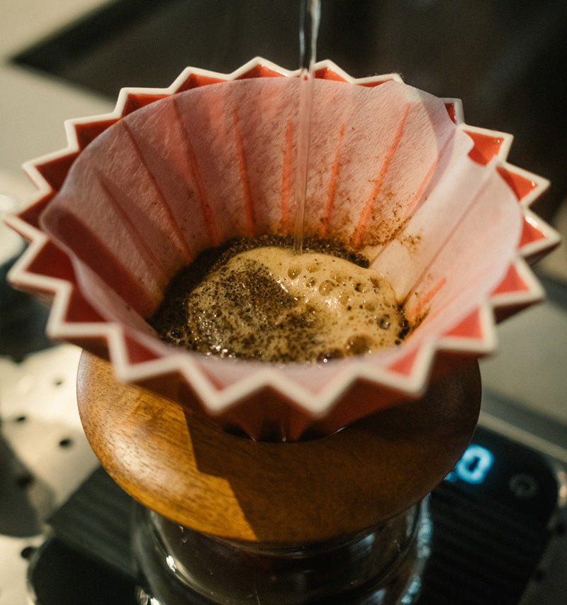 extraktion-mahlgrad-kaffee-handfilter-hario-wildkaffee