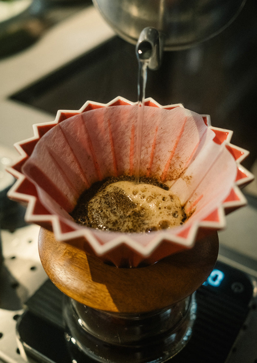 filterkaffee-wildkaffee-oesterreich