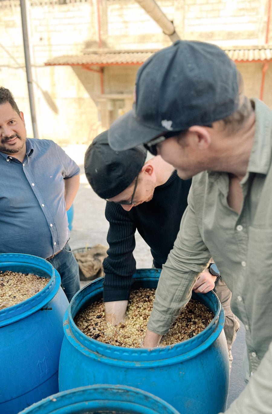 guatemala-fermentation-kaffee-wildkaffee