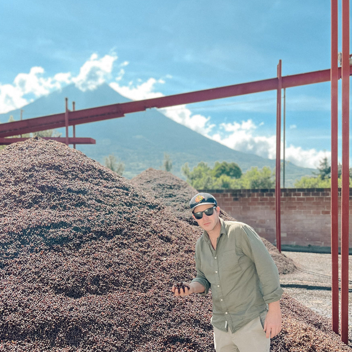 guatemala-qualitaet-kaffee-aufbereitung-wildkaffee