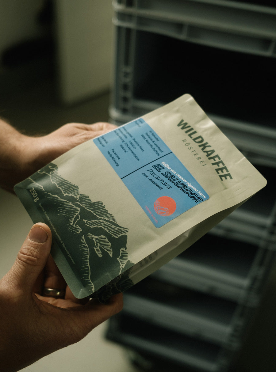 kaffee-richtig-aufbewahren-wild-kaffee-roesterei