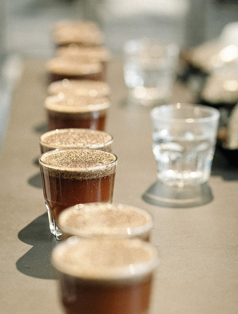 kaffee-richtig-lagern-wildkaffee-frischer-geschmack