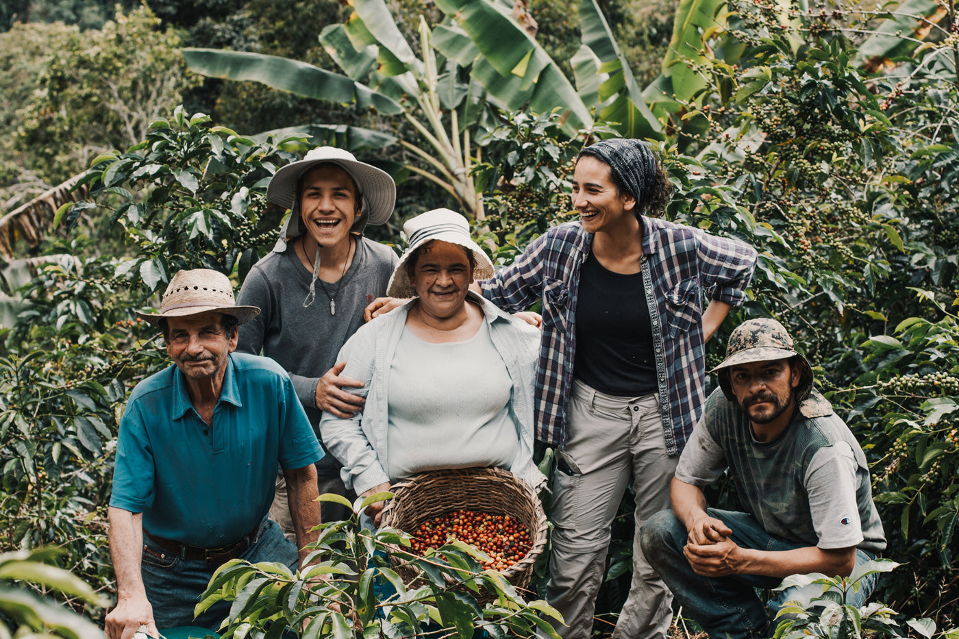 kaffeeanbau-nicaragua-wildkaffee