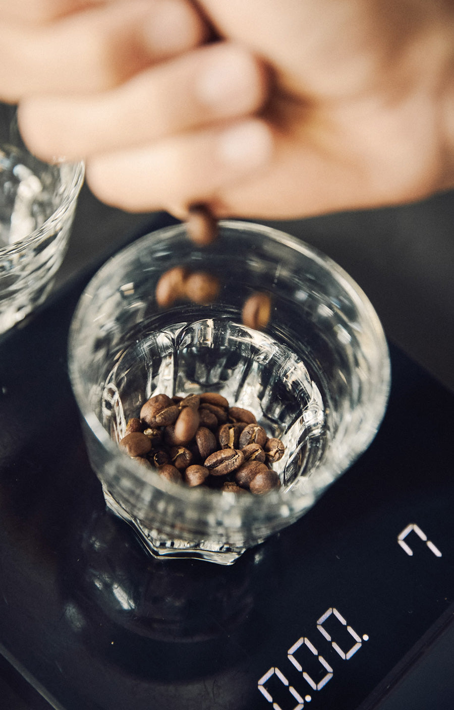 kaffeebohnen-frische-aufbewahrung-wild-kaffee