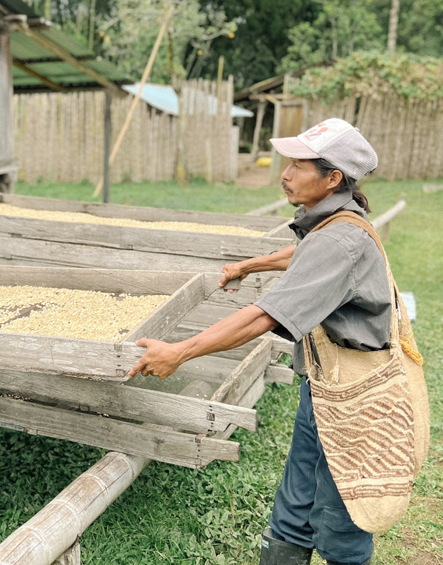 kaffeehandel-direkt-wildkaffee-fair