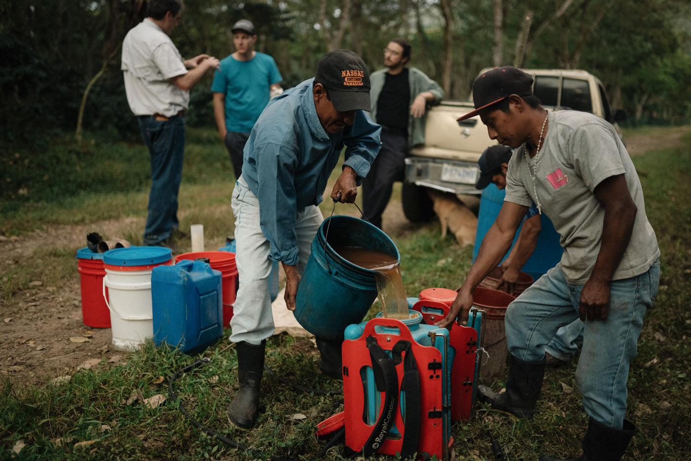 organic-farming-und-nachhaltiger-kaffeeanbau
