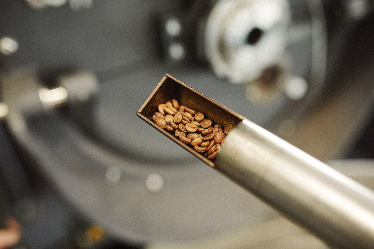 probenzieher-kaffee-roesten-wildkaffee