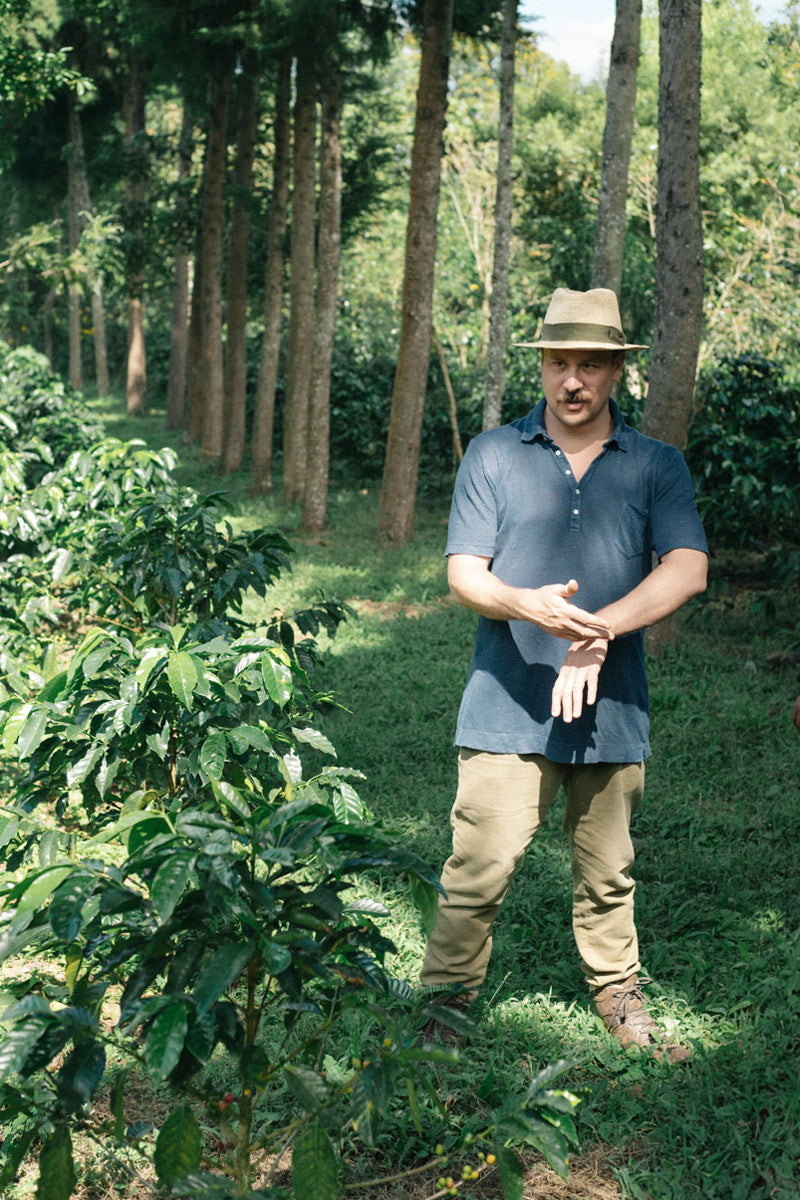 rodolfo-ruffatti-coffee-school-project
