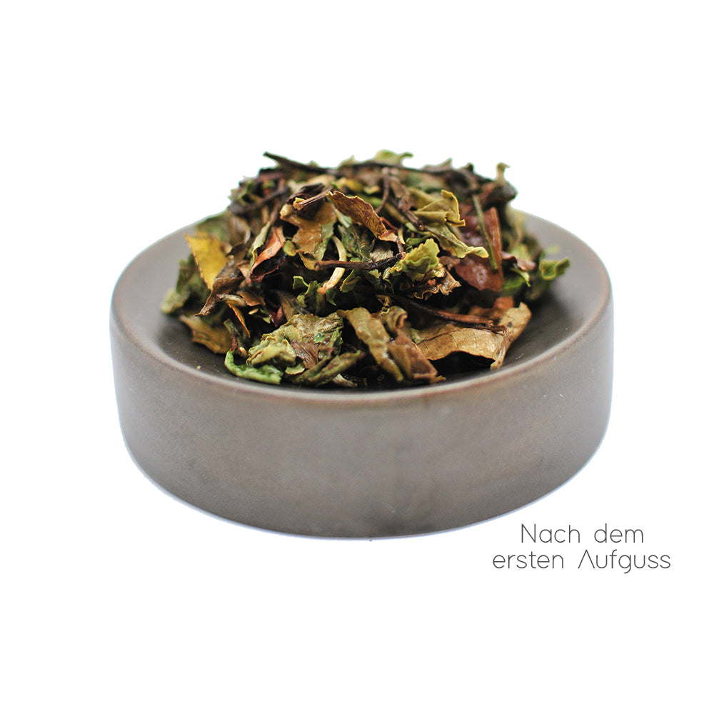teaspitz_weissertee_paimutan_nass-china-pai-mu-tan