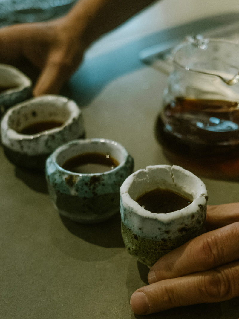 wildkaffee-Specialty-Filtercoffee