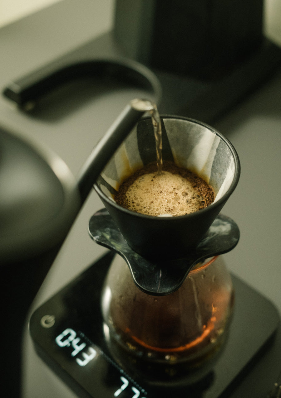 Kaffeeaufguss mit Kanne und Handfilter