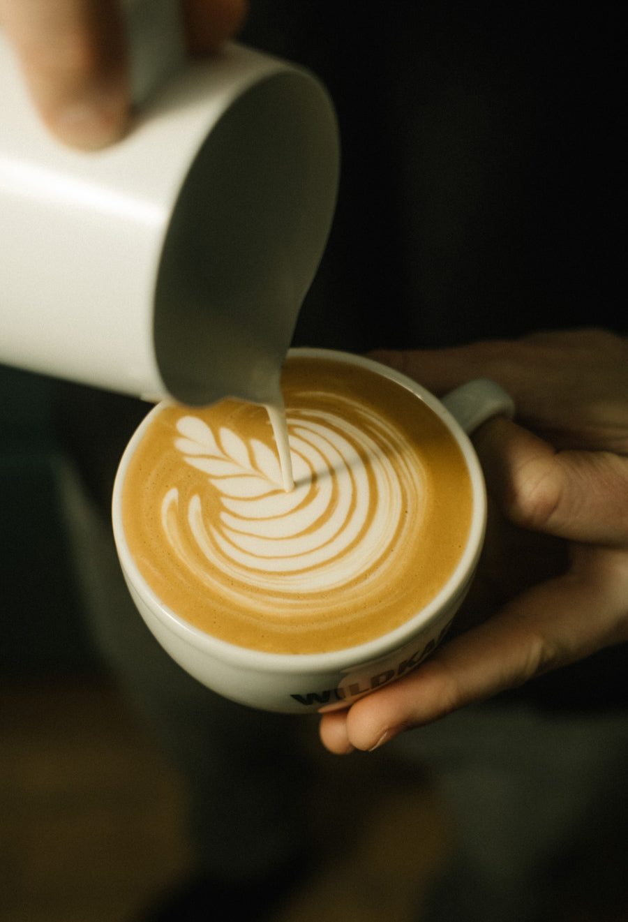 wildkaffee-cafe-b2b-kunde-werden