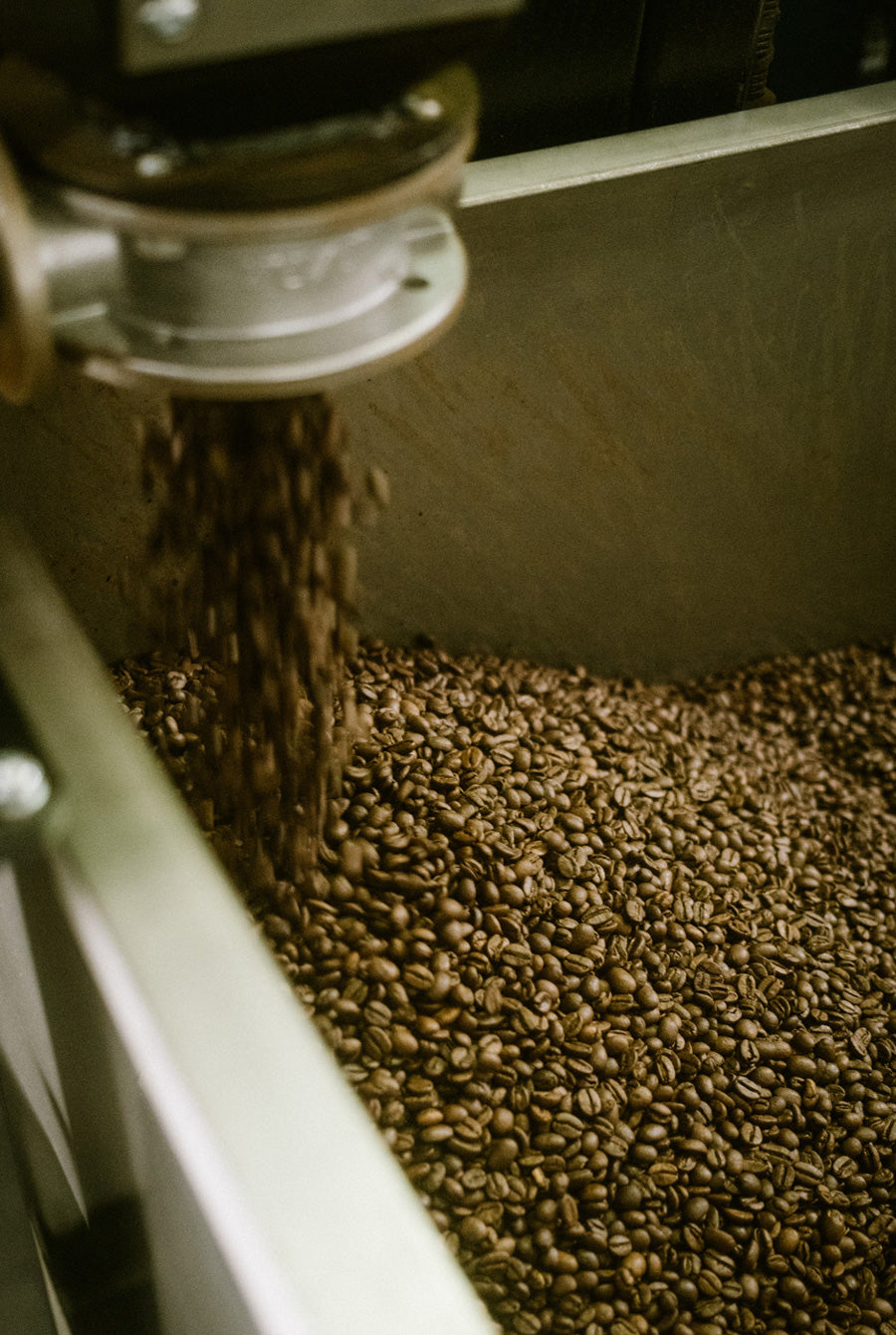 wildkaffee-geroesteter-kaffee-handwerk-kaffeeroesterei
