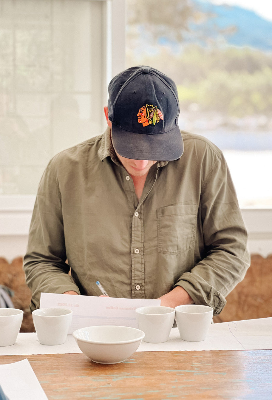 wildkaffee-geschmack-fermentation-kaffeekirschen