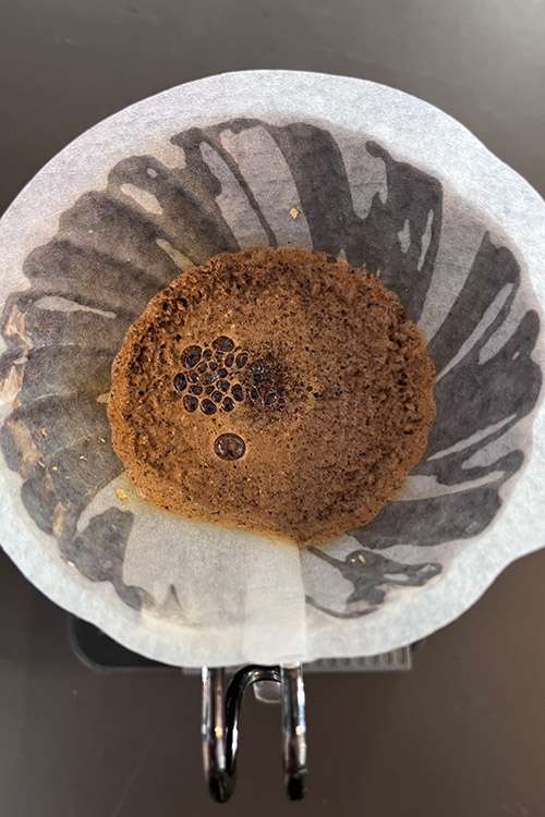 Blooming-kaffee-Wildkaffee-Roesterei-Filterkaffee