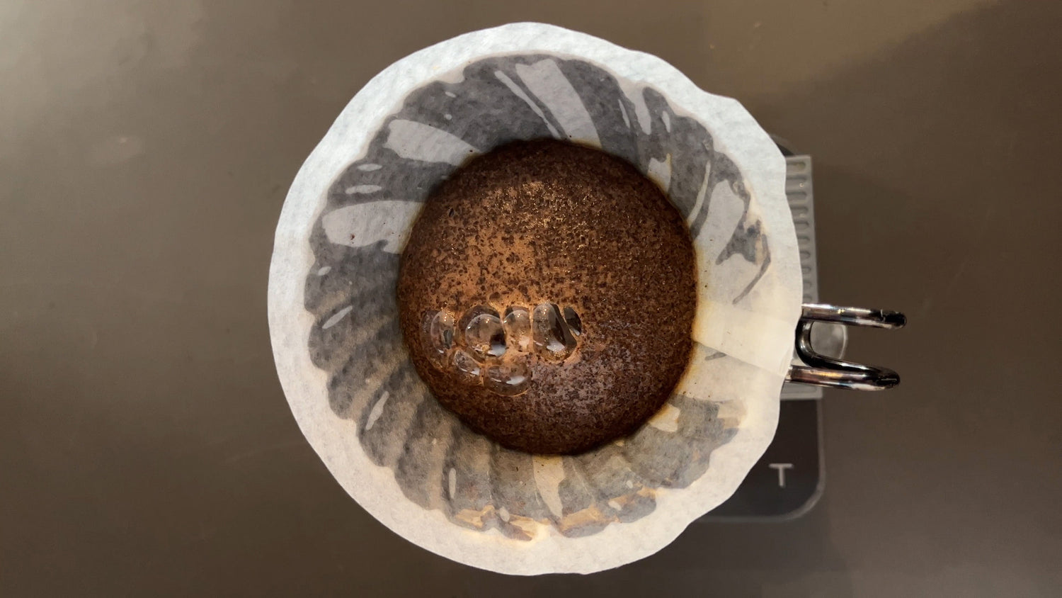 Kaffeefilter mit Pulver und Wasser darin
