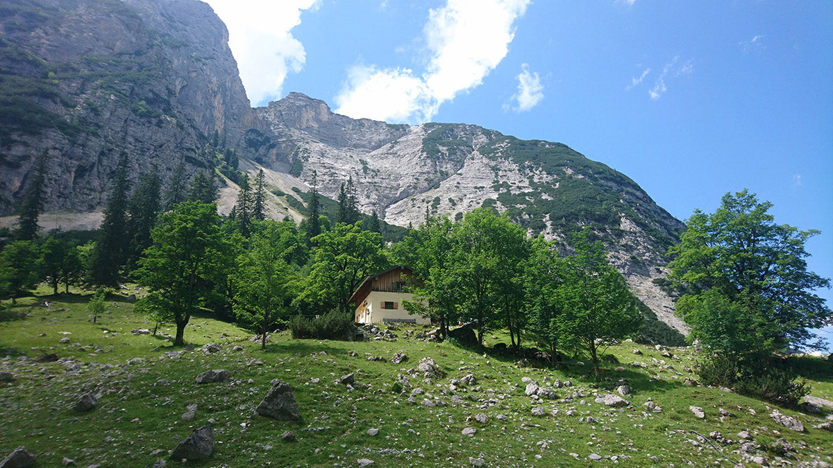 Hochalpiner Kaffeegenuss - Wildkaffee daheim in den Bergen