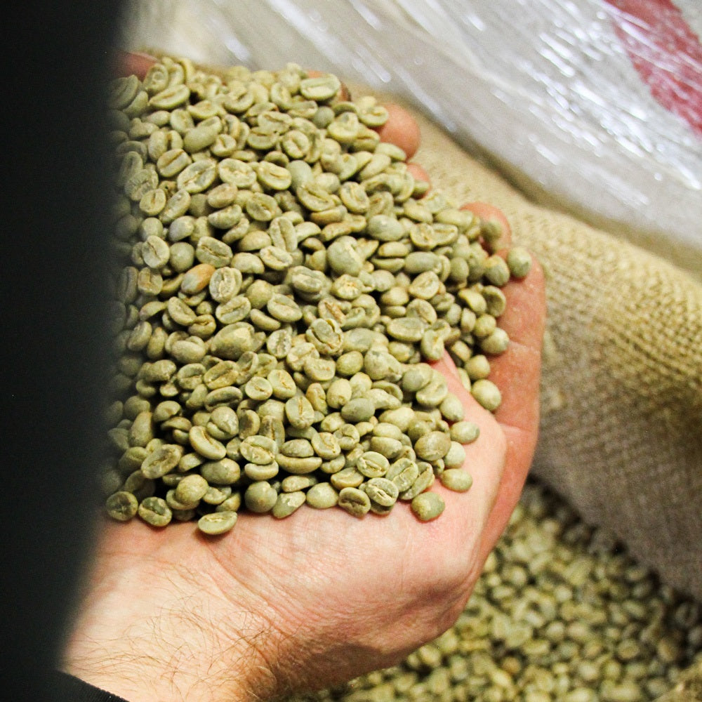 Auction Lot Coffee: Was es ist, wo Auktionen stattfinden und wer die Top-Lots kauft