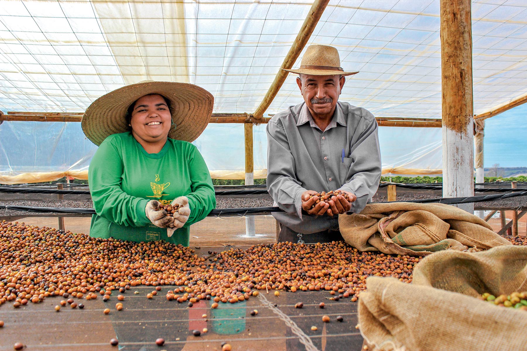 nachhaltiger-kaffee-ist-das-moeglich-brasilien-fair