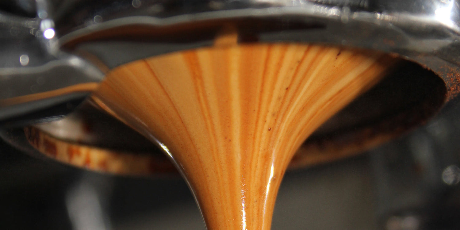 Specialty Espresso mit dem Siebträger: Schritt-für-Schritt-Anleitung und Geschmacksprofile