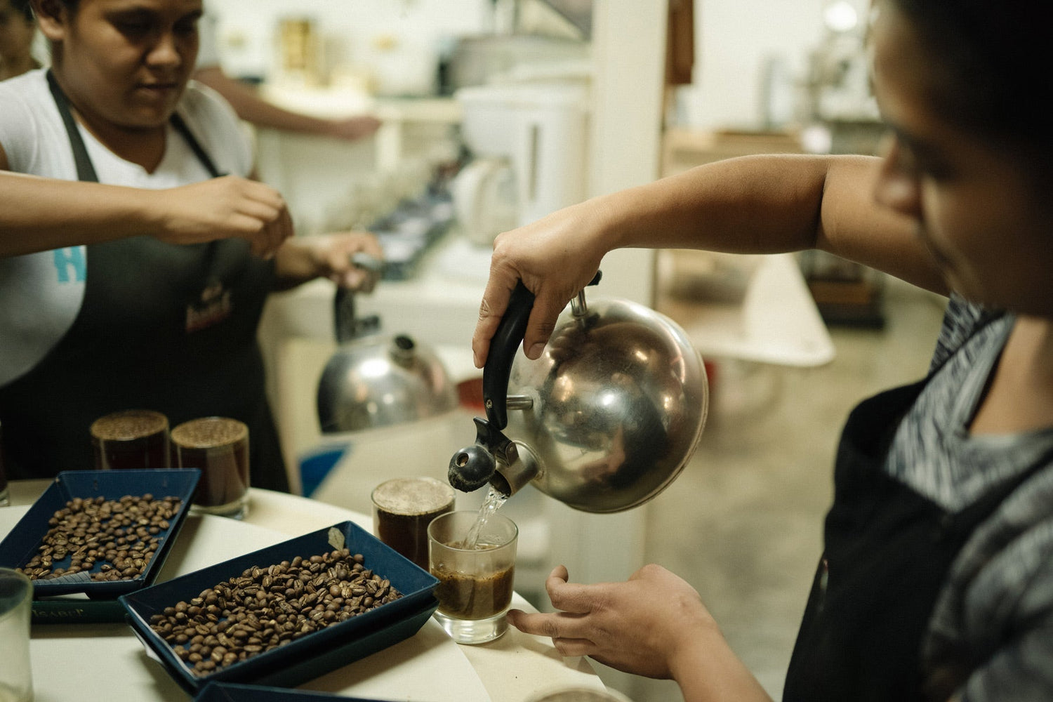 fakten-kaffee-gesund-ungesund-wildkaffee-rösterei