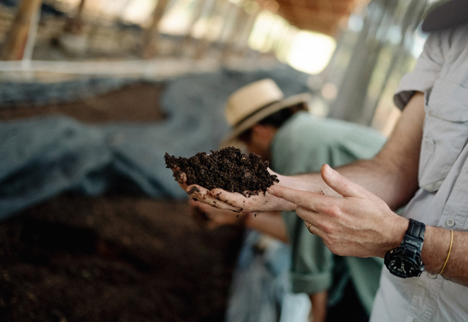 Pflanzenkohle im Kaffeeanbau Hand mit Erde