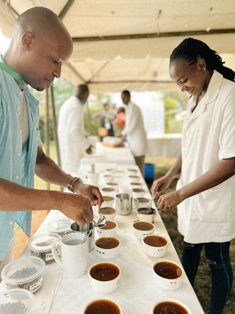 Cupping-Kenia-Leidenschaft-Kaffee-wildkaffee