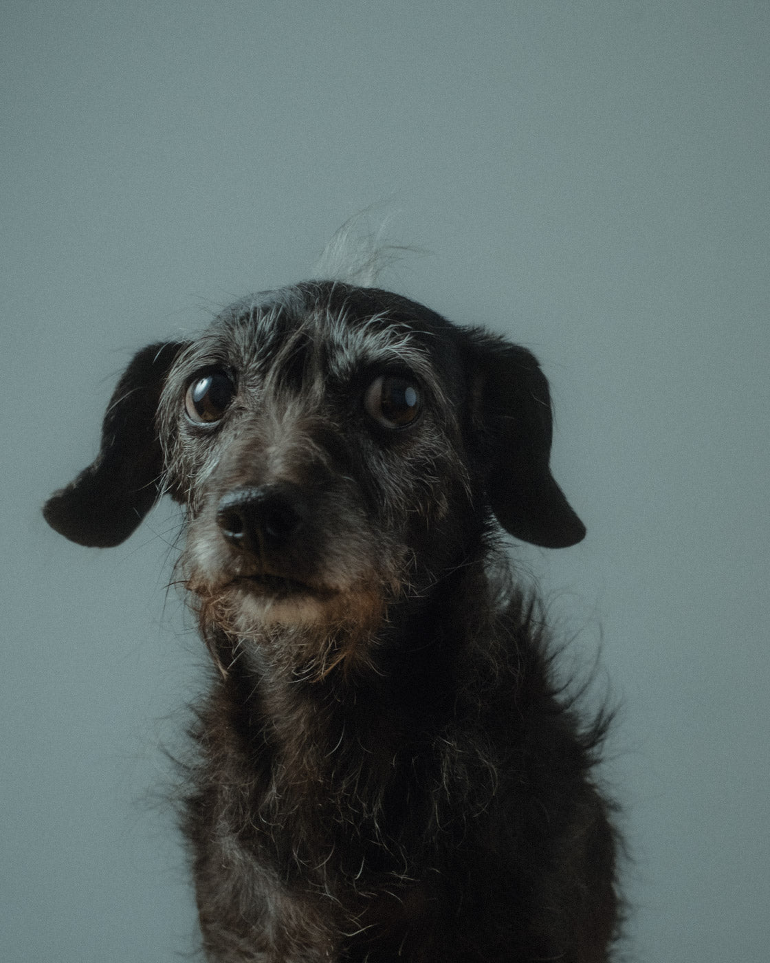 Lumpi_-_Wildkaffee_Team