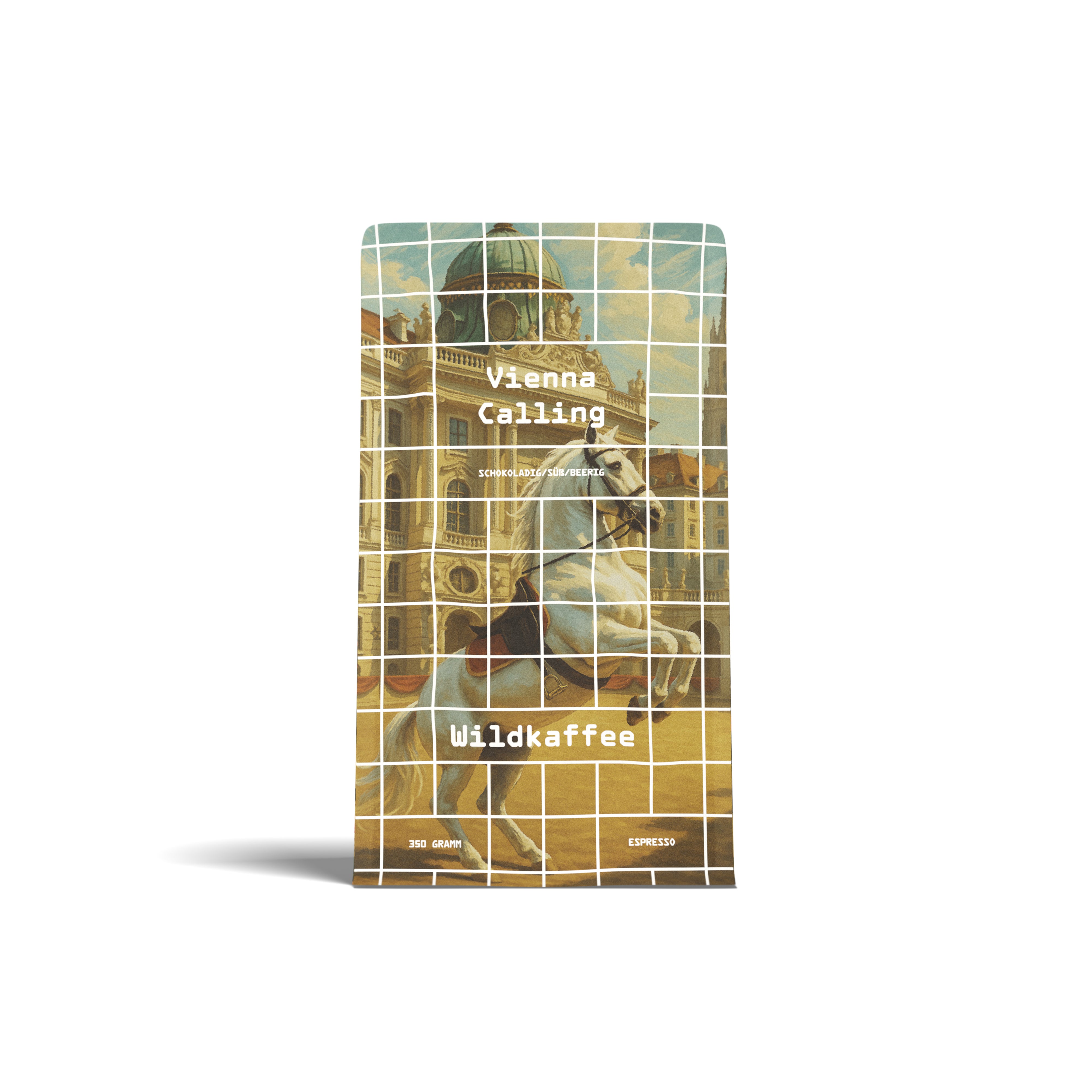 洋書 Vienna-Berlin Amazon.co.jp: Vienna : 洋書