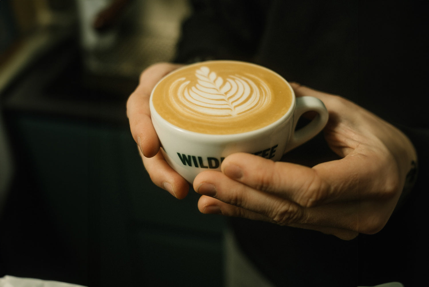 cappuccino-zubereitung-kaffee-anleitung-wildkaffee