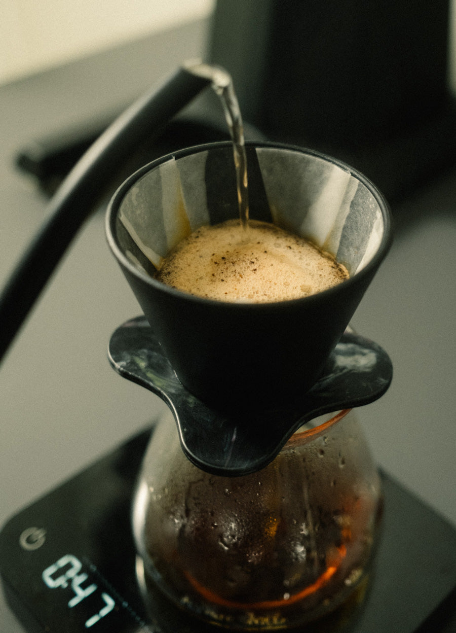 filterkaffee-mahlgrad-feststellen-extraktion-wildkaffee