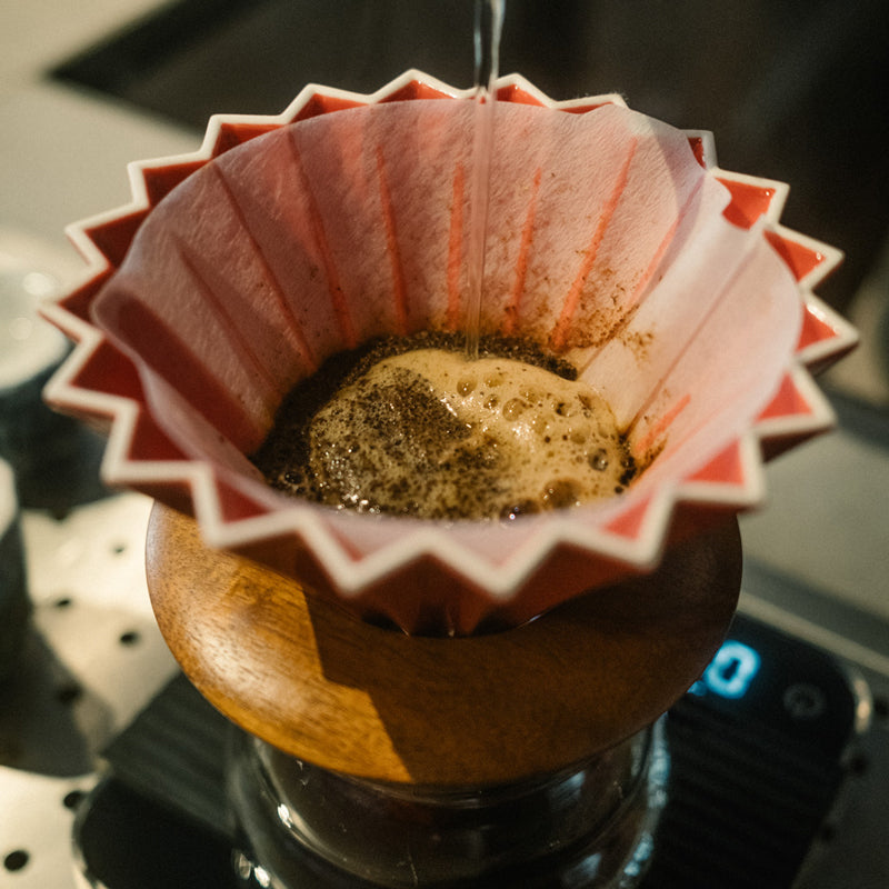 filterkaffee-wildkaffee-roesterei-garmisch-sortiment