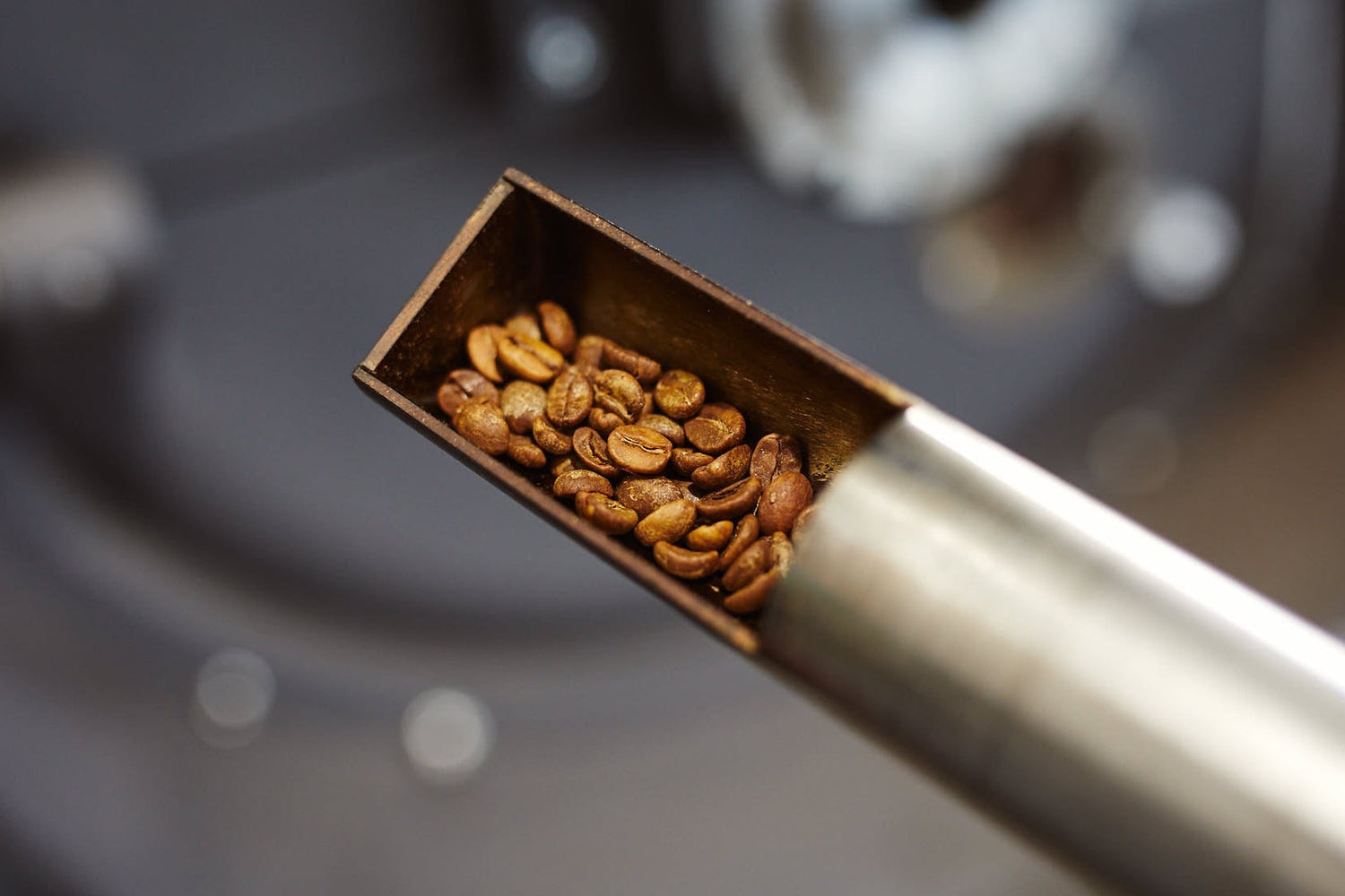 Mittlere Kaffeeröstung während des Röstprozesses in der Kaffeerösterei