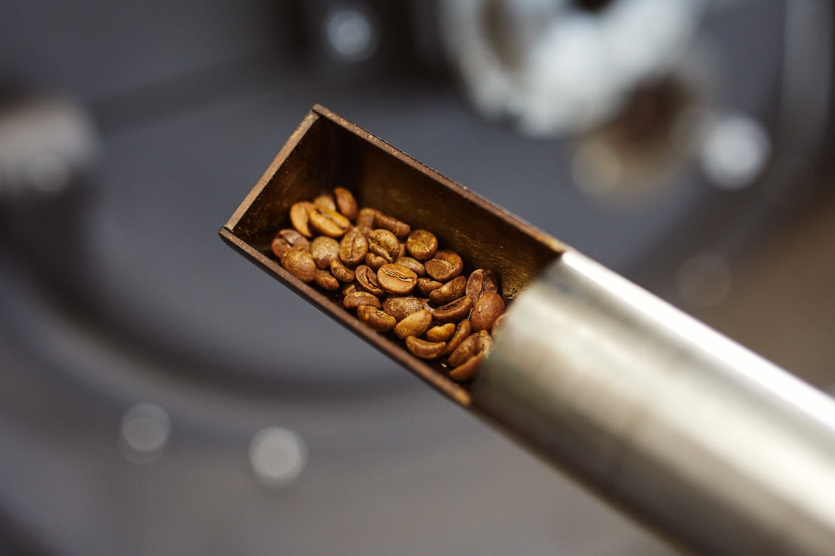 Mittlere Kaffeeröstung während des Röstprozesses in der Kaffeerösterei
